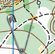 Открытая тренировка на маркированной трассе Открытая тренировка на маркированной трассе